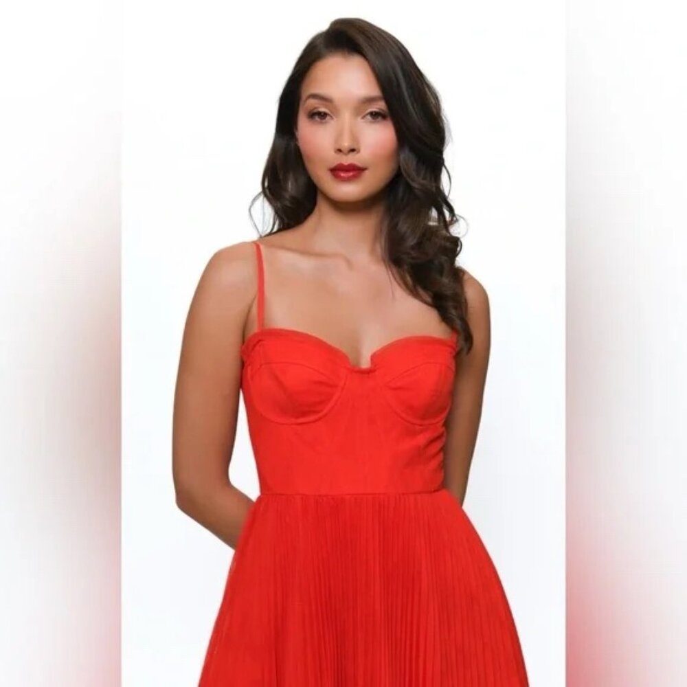 Hutch Red Pleated Midi Dress - Picture 3 of 10